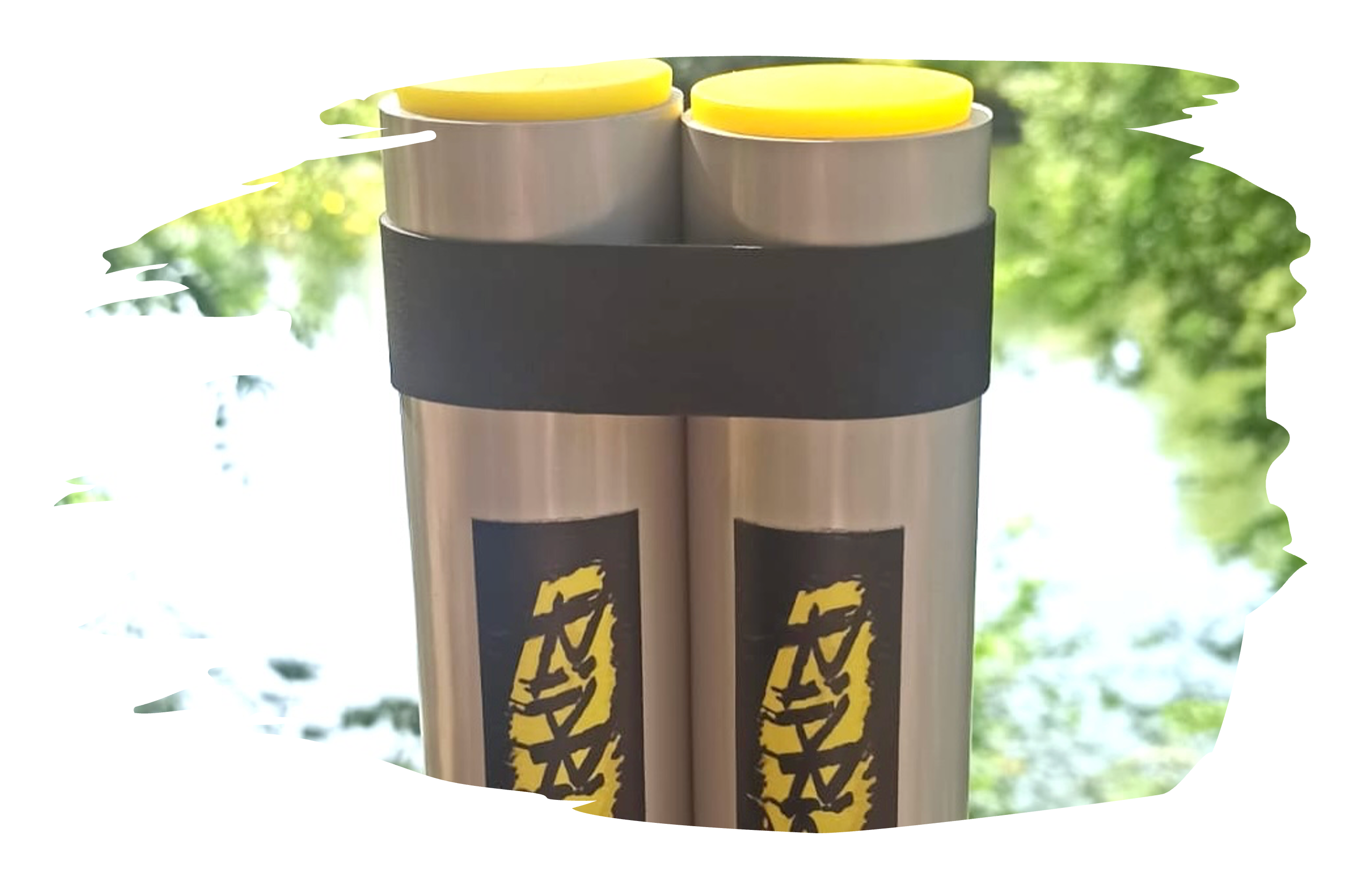 Pack RipStick Pro: RipStick + Programme d'entrainement video